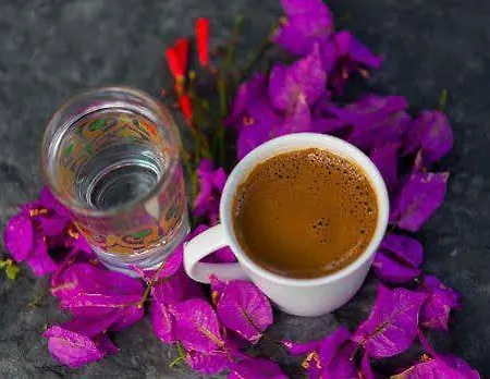 La Local Yalikavak Bodrum