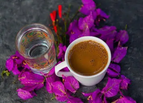 La Local Yalikavak Αλικαρνασσός